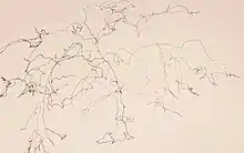 Blind Contour Drawing of a young Japanese Maple tree, 2019, K Henry-Choisser