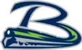 Bloomington Thunder alternate logo