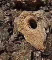 Blow hole from Iron Age furnace wall at Saruq Al Hadid.