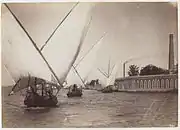 Feluccas on the Nile