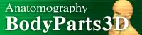 Anatomography logo.