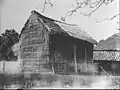 Hay shed, Lieshoutseweg, Nijnsel, September 7, 1984