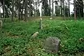 Damaged tombstone