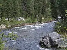 A photo of a river surrounded by coniferous trees