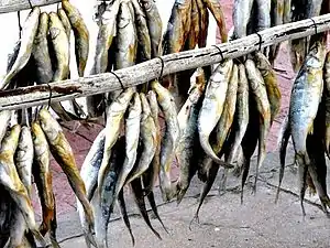 Bokkoms - whole, salted and dried mullet