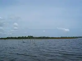 Bolgoda Lake