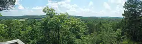A panorama of the forest valley to the south from an overlook along the trail