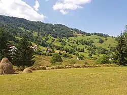View on Borovica