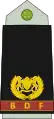 Major(Botswana Ground Force)