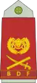 Lieutenant general(Botswana Ground Force)