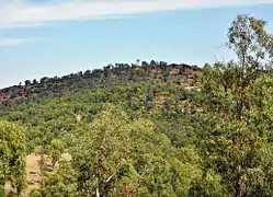 View of 'Point 226', on Bou Aoukaz, from 'Point 171'