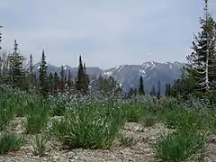 Boulder Mountains from Galena Summit