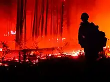 A firefighter silhouetted against the red glow of the Boundary Fire as it burns in the Kaibab National Forest, June 17, 2017