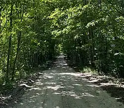 Rural dirt road near Kingsley, Michigan