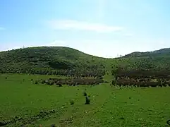 Boyd's Hill near Dunlop