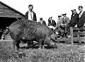 University's Agricultural Experiment Station, est. 1907