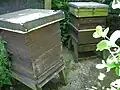 Disused beehives