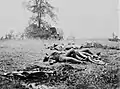 Confederate Dead at the Rose Woods somestimes misidentied as dead of the 1st Minnesota Regiment Union army