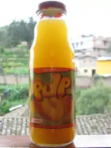 300 ml Pulp juice bottle