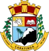 Official seal of Caratinga