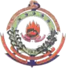 Official seal of Novo Itacolomi