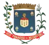 Coat of arms of Minador do Negrão