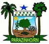 Official seal of Parazinho