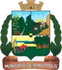 Official seal of Irineópolis