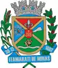 Official seal of Itamarati de Minas