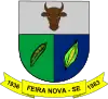 Official seal of Feira Nova