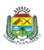 Official seal of São Domingos do Araguaia