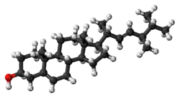 Ball-and-stick model of brassicasterol