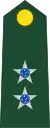 Primeiro tenente(Brazilian Army)