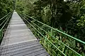 Bridge in La Selva