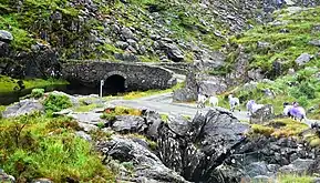 Looking northwards to the stone bridge before Black Lough