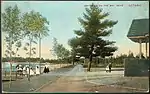 Britannia-on-the-Bay near Ottawa 1910 Postcard