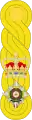 1881 to 1902 lieutenant colonel's shoulder rank insignia