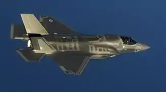 Lockheed Martin Lightning II showing light grey/dark grey roundels and fin flash
