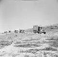 An Austin K2/Y ambulance convoy from the Royal Army Medical Corps moving forwards in the Western Desert, 1940 – 1943.