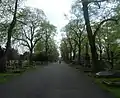 Central avenue, from North Lodge Brompton Cemetery