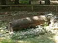Log coffin burial, reconstruction.