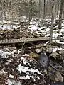 Bridge over a springtime brook on the side of Great Hill