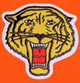 Rochester-Brooklyn Tigers logo