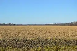 Farm fields west of Melrose