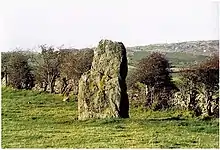 Y Werthyr, standing Stone near Bryn Llwyd farm