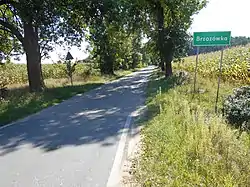 Road leading to the village of Brzozówka, Jakubów