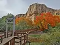 The suspension bridge in autumn.