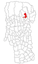 Location in Argeș County