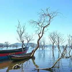 Bui Bayou near the border with Savannah Region