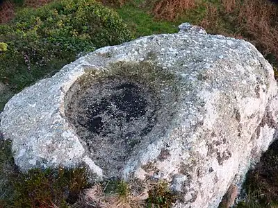 One of several womb shaped bullaun on western end of Rosewall Hill, St Ives, Cornwall, UK
